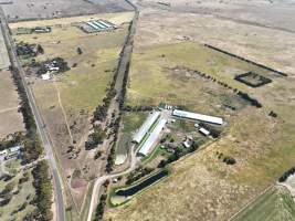 Drone flyover of free-range egg farm - Layer hens seen outside - Captured at Free-range egg farm (Peter & Cheryl King), Lethbridge VIC Australia.