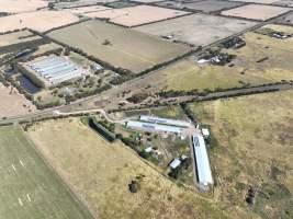 Drone flyover of free-range egg farm - Layer hens seen outside - Captured at Free-range egg farm (Peter & Cheryl King), Lethbridge VIC Australia.