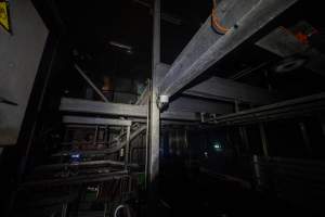 Security cameras n kill room - Security cameras looking over the kill room - Captured at JBS Pork Australia (formerly Diamond Valley Pork), Laverton North VIC Australia.
