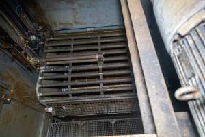 Top view of gondolas in gas chamber - A top view of gondolas in a Butina backloader gas chamber - Captured at JBS Pork Australia (formerly Diamond Valley Pork), Laverton North VIC Australia.