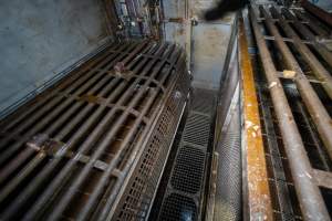 On top of the gondolas inside the gas chamber - A view standing on top of the gondolas in a Butina backloader gas chamber - Captured at JBS Pork Australia (formerly Diamond Valley Pork), Laverton North VIC Australia.