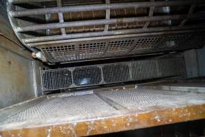Looking down into the gas chamber - Looking down into the Butina backloader gas chamber - Captured at JBS Pork Australia (formerly Diamond Valley Pork), Laverton North VIC Australia.