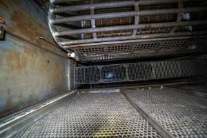 Looking down into the gas chamber - Looking down into the Butina backloader gas chamber - Captured at JBS Pork Australia (formerly Diamond Valley Pork), Laverton North VIC Australia.