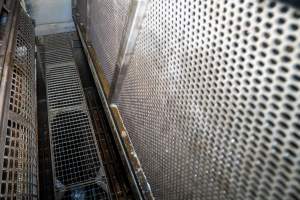 Walkway inside gas chamber - Standing on the walkway in a Butina backloader gas chamber - Captured at JBS Pork Australia (formerly Diamond Valley Pork), Laverton North VIC Australia.