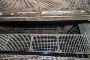 Looking down on walkway in gas chamber - Looking down onto the walkway in a Butina backloader gas chamber - Captured at JBS Pork Australia (formerly Diamond Valley Pork), Laverton North VIC Australia.