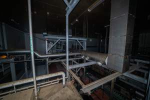 On top of the gas chamber - On top of the Butina backloader gas chamber looking out over the kill room - Captured at JBS Pork Australia (formerly Diamond Valley Pork), Laverton North VIC Australia.