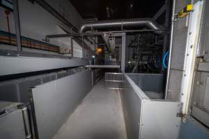 Race - Race leading to the gas chamber - Captured at JBS Pork Australia (formerly Diamond Valley Pork), Laverton North VIC Australia.