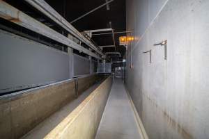 Hallway and race leading to gas chamber - Hallway used by workers and race for pigs leading to the gas chamber - Captured at JBS Pork Australia (formerly Diamond Valley Pork), Laverton North VIC Australia.