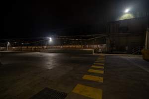 Holding pens and kill room from outside - Looking into the holding pens and across to the kill room from outside DVP - Captured at JBS Pork Australia (formerly Diamond Valley Pork), Laverton North VIC Australia.