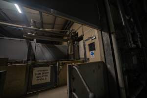 Door to race and kill room - Door into kill room and race leading from pens to kill room - Captured at JBS Pork Australia (formerly Diamond Valley Pork), Laverton North VIC Australia.