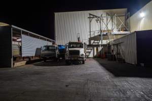 View of offal truck, holding pens and kill room - The structure on the left is the last section of the holding pens which becomes the race, connecting the pens from the kill room. The larger truck is an offal truck where organs and body parts of animals are dropped. - Captured at Tasmanian Quality Meats Abattoir, Cressy TAS Australia.