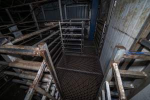 Stun pen and holding pen - A view of the stun pen and pre-stun holding pen from the race, as well as the door to the kill room. These pens are used to confine and slaughter sheep, pigs and goats. - Captured at Gretna Meatworks, Gretna TAS Australia.