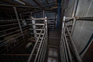 Race, stun pen and holding pen - A view of the race, stun pen and holding pen from the race, as well as the door to the kill room. These pens are used to confine and slaughter sheep, pigs and goats. - Captured at Gretna Meatworks, Gretna TAS Australia.