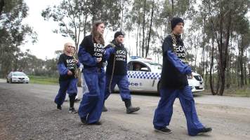 Hatchery lockdown action - In July 2016, 100 activists from across the country converged on the facility in Huntly, Victoria, with 21 entering the hatchery by surprise and halting operations for two hours in an effort to draw further public attention to the inherent cruelty of the egg industry. Over 150 male chicks - some just seconds from being killed - were rescued and are now living out their lives, happily and healthily, with experienced carers.
Photos captured by the Bendigo Advertiser. - Captured at SBA Hatchery, Bagshot VIC Australia.