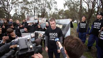 Hatchery lockdown action - In July 2016, 100 activists from across the country converged on the facility in Huntly, Victoria, with 21 entering the hatchery by surprise and halting operations for two hours in an effort to draw further public attention to the inherent cruelty of the egg industry. Over 150 male chicks - some just seconds from being killed - were rescued and are now living out their lives, happily and healthily, with experienced carers.
Photos captured by the Bendigo Advertiser. - Captured at SBA Hatchery, Bagshot VIC Australia.