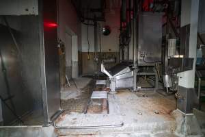 Kill room with knockbox - Captured at Ralphs Meat Co, Seymour VIC Australia.