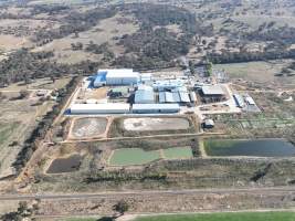 Captured at Australian Meat Group, Cootamundra NSW Australia.