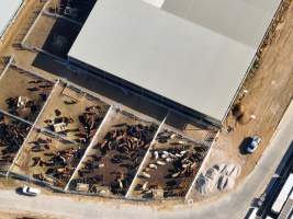 Captured at Australian Meat Group, Cootamundra NSW Australia.