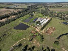 Burnett Pork Alliance piggery - Aerial view of a 'Burnett Pork Alliance' piggery. - Captured at Burnett Pork Alliance, Derri Derra QLD Australia.