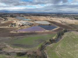 Miandetta Piggery - Aerial view of Miandetta Piggery. - Captured at Miandetta Piggery, Murrays Bridge QLD Australia.