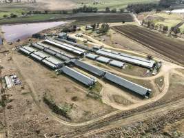 Miandetta Piggery - Aerial view of Miandetta Piggery. - Captured at Miandetta Piggery, Murrays Bridge QLD Australia.