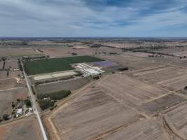 Drone flyover - Aerial view of piggery - Captured at Girgarre Piggery, Girgarre VIC Australia.