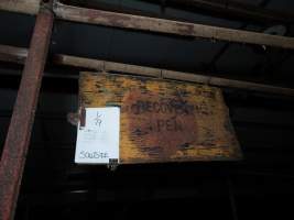 Captured at St Arnaud Piggery Units 2 & 3, St Arnaud VIC Australia.