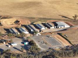 Drone flyover of piggery - Aerial view - Captured at St Arnaud Piggery Units 2 & 3, St Arnaud VIC Australia.