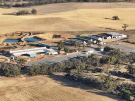 Drone flyover of piggery - Aerial view - Captured at St Arnaud Piggery Units 2 & 3, St Arnaud VIC Australia.