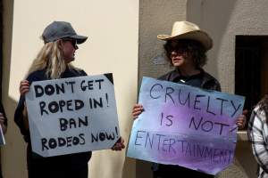 Protest outside of Queanbeyan Rodeo - Photos taken at a protest organised by Animal Liberation ACT and Animal Defenders Office outside of Queanbeyan Rodeo, where animals such as horse and cattle have been seen and recorded being chased, mistreated, and tormented. - Captured at NSW.