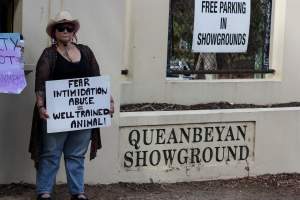 Protest outside of Queanbeyan Rodeo - Photos taken at a protest organised by Animal Liberation ACT and Animal Defenders Office outside of Queanbeyan Rodeo, where animals such as horse and cattle have been seen and recorded being chased, mistreated, and tormented. - Captured at NSW.