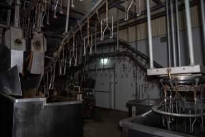 Shackle line - Captured at Tinder Creek Duck Abattoir, Tennyson NSW Australia.
