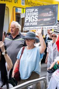 Dominion Animal Rights March 2025 - Captured at VIC.