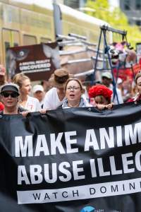 Dominion Animal Rights March 2025 - Captured at VIC.