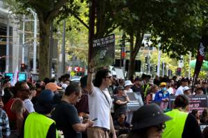 Dominion Animal Rights March 2025 - Photos taken at the Dominion Animal Rights March in 2025, where activists and members of the public marched in the Melbourne CBD for animals exploited within Australia and across the world. - Captured at VIC.