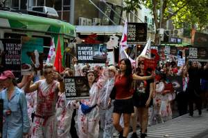 Dominion Animal Rights March 2025 - Photos taken at the Dominion Animal Rights March in 2025, where activists and members of the public marched in the Melbourne CBD for animals exploited within Australia and across the world. - Captured at VIC.