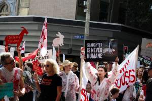 Dominion Animal Rights March 2025 - Photos taken at the Dominion Animal Rights March in 2025, where activists and members of the public marched in the Melbourne CBD for animals exploited within Australia and across the world. - Captured at VIC.