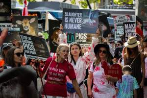 Dominion Animal Rights March 2025 - Photos taken at the Dominion Animal Rights March in 2025, where activists and members of the public marched in the Melbourne CBD for animals exploited within Australia and across the world. - Captured at VIC.