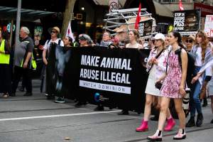 Dominion Animal Rights March 2025 - Photos taken at the Dominion Animal Rights March in 2025, where activists and members of the public marched in the Melbourne CBD for animals exploited within Australia and across the world. - Captured at VIC.
