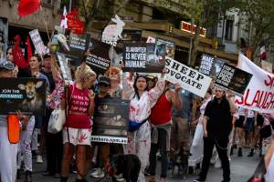 Dominion Animal Rights March 2025 - Photos taken at the Dominion Animal Rights March in 2025, where activists and members of the public marched in the Melbourne CBD for animals exploited within Australia and across the world. - Captured at VIC.