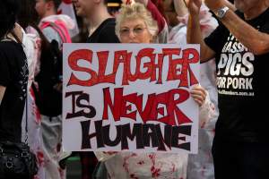 Dominion Animal Rights March 2025 - Photos taken at the Dominion Animal Rights March in 2025, where activists and members of the public marched in the Melbourne CBD for animals exploited within Australia and across the world. - Captured at VIC.