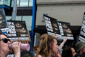 Dominion Animal Rights March 2025 - Photos taken at the Dominion Animal Rights March in 2025, where activists and members of the public marched in the Melbourne CBD for animals exploited within Australia and across the world. - Captured at VIC.
