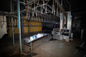 Shackle line - Captured at Tinder Creek Duck Abattoir, Tennyson NSW Australia.