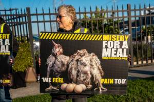 Melbourne Chicken Save Vigil - April 2025 - Memorial vigil in loving memory of Liz Dealey founder of Melbourne Chicken Save and Melbourne Chicken Rescue. - Captured at La Ionica Poultry, Thomastown VIC Australia.