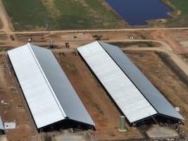 Drone flyover of zero graze sheds - Captured at Calmo Farms, Calivil VIC Australia.