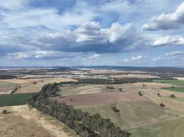 Drone flyover of Moxey Dairy - Moxey Farms is the first and largest property operated by Australian Fresh Milk Holdings (AFMH). It is also the largest single-site dairy in the country, housing and milking thousands of cows across nine freestall barns and three milking parlours, plus a maternity shed, feed centre and hospital. AFMH is the country's biggest dairy farming operator.
At any given time, Moxey Dairy houses 11,000 cows and is milking 5,500 of those cows each day, producing 40 litres of milk per cow per day. Annually, the farm produces 80 million litres of milk, or 220,000 litres per day.
- Captured at Moxey Dairy, Paytens Bridge NSW Australia.