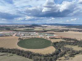 Drone flyover of Moxey Dairy - Moxey Farms is the first and largest property operated by Australian Fresh Milk Holdings (AFMH). It is also the largest single-site dairy in the country, housing and milking thousands of cows across nine freestall barns and three milking parlours, plus a maternity shed, feed centre and hospital. AFMH is the country's biggest dairy farming operator.
At any given time, Moxey Dairy houses 11,000 cows and is milking 5,500 of those cows each day, producing 40 litres of milk per cow per day. Annually, the farm produces 80 million litres of milk, or 220,000 litres per day.
- Captured at Moxey Dairy, Paytens Bridge NSW Australia.
