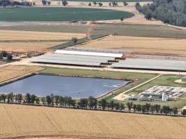 Drone flyover of Moxey Dairy - Moxey Farms is the first and largest property operated by Australian Fresh Milk Holdings (AFMH). It is also the largest single-site dairy in the country, housing and milking thousands of cows across nine freestall barns and three milking parlours, plus a maternity shed, feed centre and hospital. AFMH is the country's biggest dairy farming operator. 

At any given time, Moxey Dairy houses 11,000 cows and is milking 5,500 of those cows each day, producing 40 litres of milk per cow per day. Annually, the farm produces 80 million litres of milk, or 220,000 litres per day. 
 - Captured at Moxey Dairy, Paytens Bridge NSW Australia.