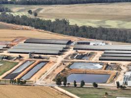 Drone flyover of Moxey Dairy - Moxey Farms is the first and largest property operated by Australian Fresh Milk Holdings (AFMH). It is also the largest single-site dairy in the country, housing and milking thousands of cows across nine freestall barns and three milking parlours, plus a maternity shed, feed centre and hospital. AFMH is the country's biggest dairy farming operator.
At any given time, Moxey Dairy houses 11,000 cows and is milking 5,500 of those cows each day, producing 40 litres of milk per cow per day. Annually, the farm produces 80 million litres of milk, or 220,000 litres per day.
- Captured at Moxey Dairy, Paytens Bridge NSW Australia.