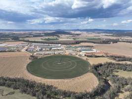 Drone flyover of Moxey Dairy - Moxey Farms is the first and largest property operated by Australian Fresh Milk Holdings (AFMH). It is also the largest single-site dairy in the country, housing and milking thousands of cows across nine freestall barns and three milking parlours, plus a maternity shed, feed centre and hospital. AFMH is the country's biggest dairy farming operator.
At any given time, Moxey Dairy houses 11,000 cows and is milking 5,500 of those cows each day, producing 40 litres of milk per cow per day. Annually, the farm produces 80 million litres of milk, or 220,000 litres per day.
- Captured at Moxey Dairy, Paytens Bridge NSW Australia.
